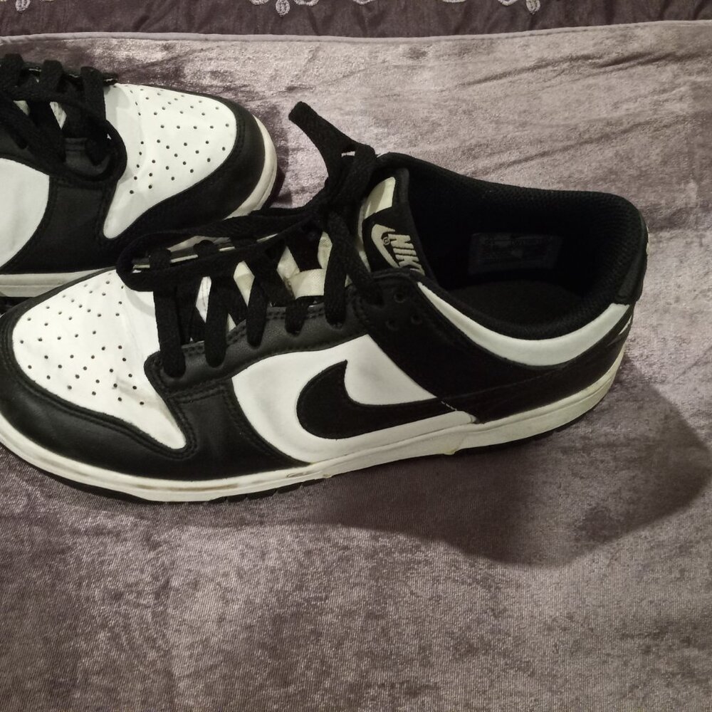 Nike dunk lows